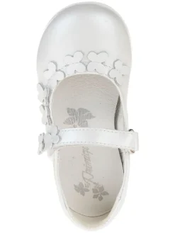 Ballerinas 