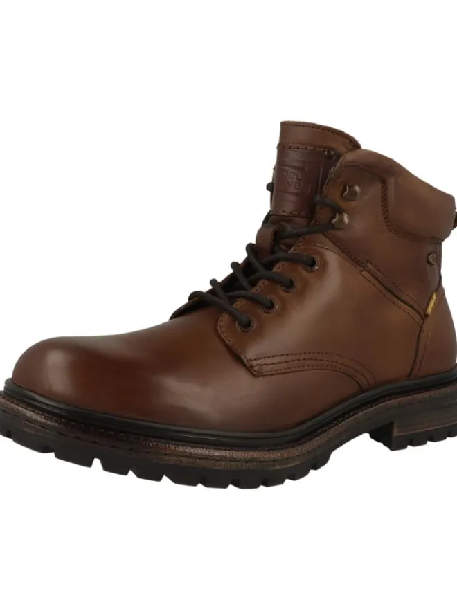 Camel Active Stiefel & Boots^Boots 55CAA03 in braun