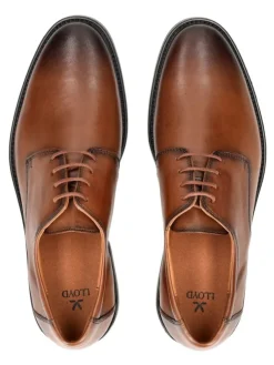 LLOYD Schnürschuhe^Businessschuhe in Cognac