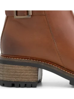 Dahlia in Cognac><noscript><img width=