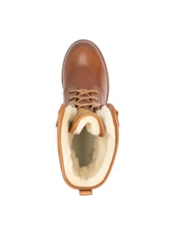 Daisy in Cognac><noscript><img width=
