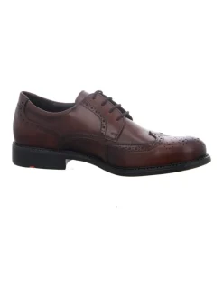 Klassische Schnürschuhe in Braun><noscript><img width=