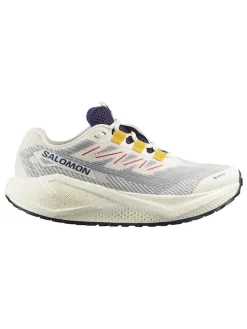 Laufschuhe "Aero Blaze 3 GRVL GTX" in Beige/ Grau>SALOMON Clearance
