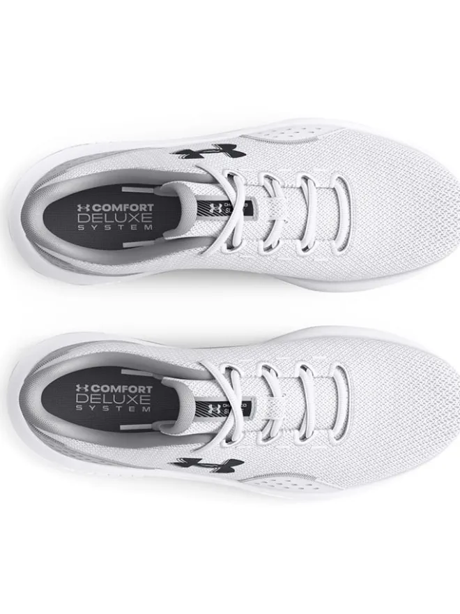 Under Armour Sportschuhe^Laufschuhe "Charged Surge 4" in Grau