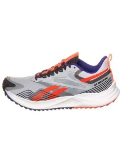 Reebok Outdoor- & Sportschuhe^Laufschuhe "Floatride Energy 4 Adventure" in Grau