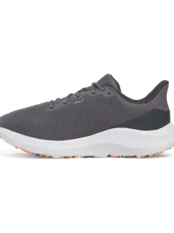 Under Armour Sportschuhe^Laufschuhe in Grau