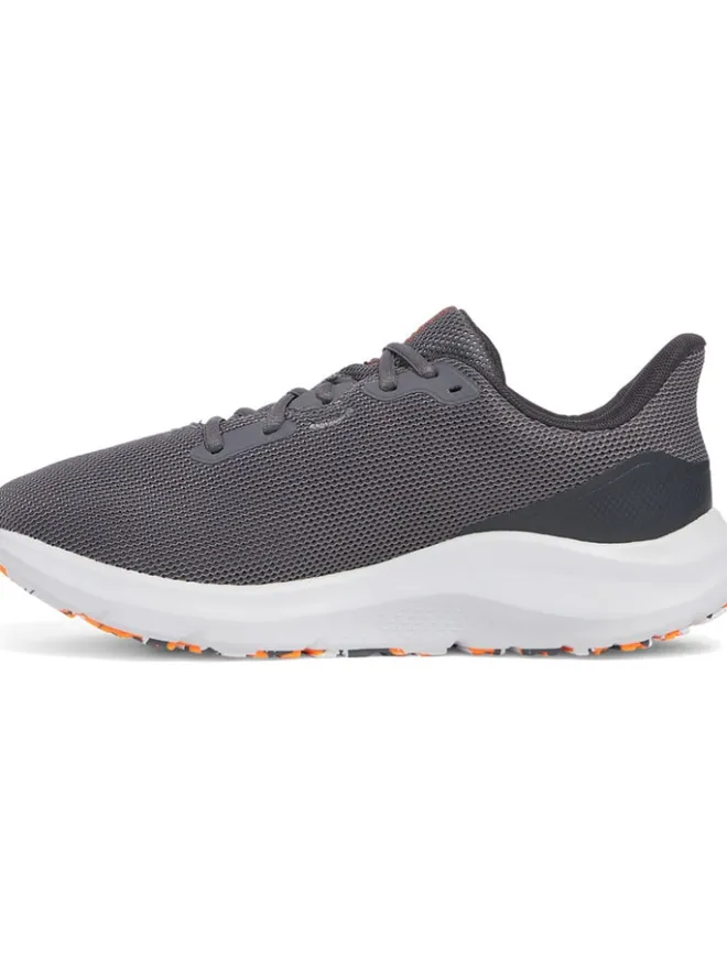 Under Armour Sportschuhe^Laufschuhe in Grau