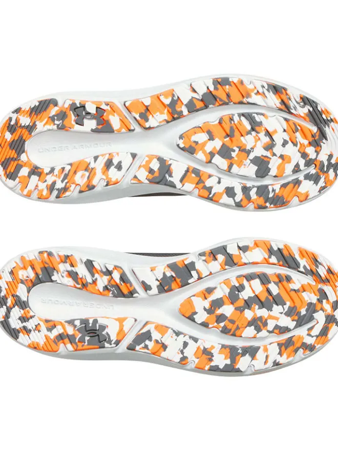 Under Armour Sportschuhe^Laufschuhe in Grau