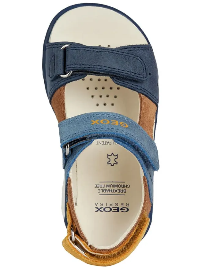 Leder-Sandalen "Delhi" in Dunkelblau>Geox