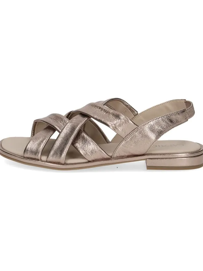 Caprice Sandalen^Leder-Sandalen in Taupe