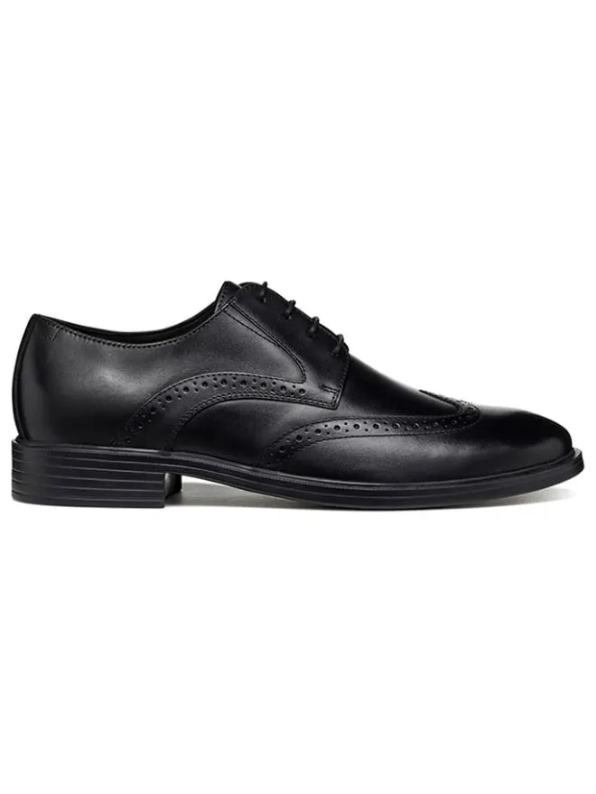 Geox Schnürschuhe^Leder-Schnürschuhe "Gladwin" in Schwarz