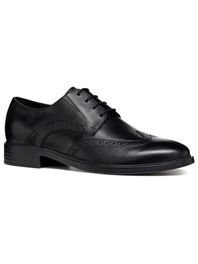 Geox Schnürschuhe^Leder-Schnürschuhe "Gladwin" in Schwarz