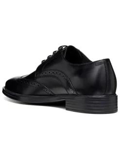 Geox Schnürschuhe^Leder-Schnürschuhe