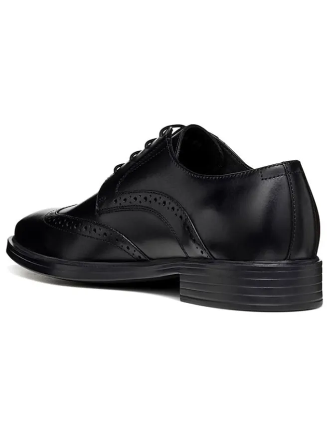 Geox Schnürschuhe^Leder-Schnürschuhe "Gladwin" in Schwarz