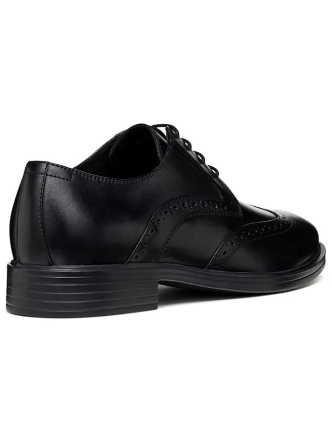 Geox Schnürschuhe^Leder-Schnürschuhe "Gladwin" in Schwarz