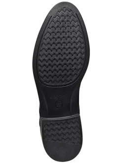 Geox Schnürschuhe^Leder-Schnürschuhe