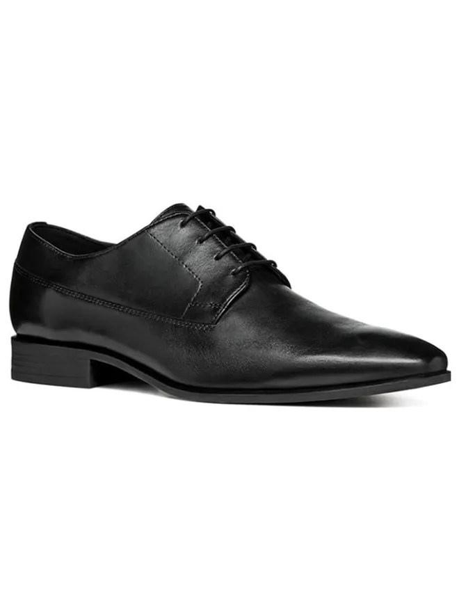 Geox Schnürschuhe^Leder-Schnürschuhe "High Life" in Schwarz