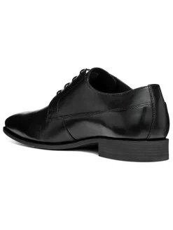 Geox Schnürschuhe^Leder-Schnürschuhe