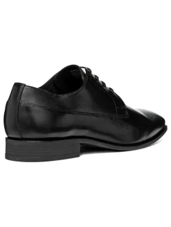 Geox Schnürschuhe^Leder-Schnürschuhe