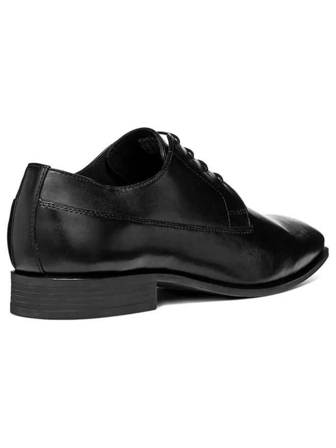 Geox Schnürschuhe^Leder-Schnürschuhe "High Life" in Schwarz