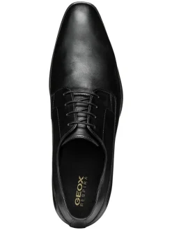 Geox Schnürschuhe^Leder-Schnürschuhe
