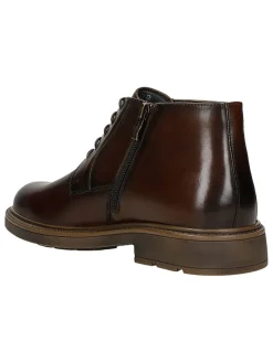 Wojas Schnürschuhe^Leder-Schnürschuhe in Braun