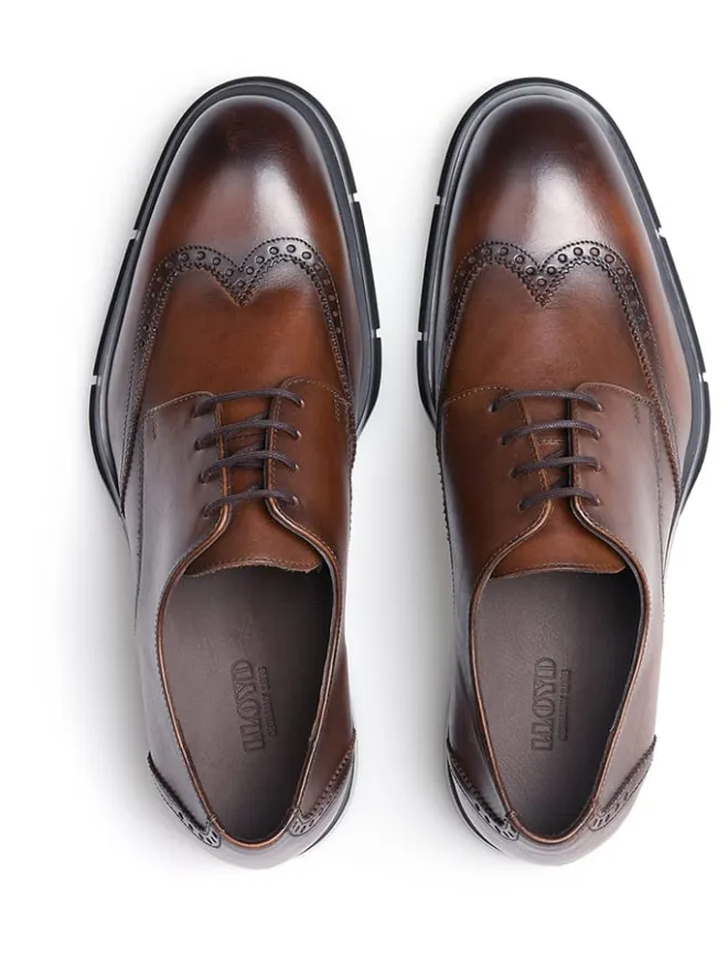 Leder-Schnürschuhe in Braun>LLOYD Clearance