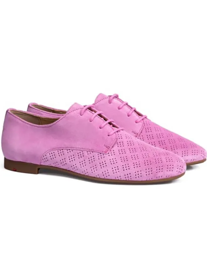 Leder-Schnürschuhe in Rosa>LLOYD Best