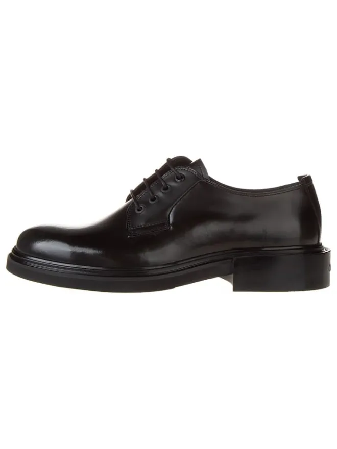 Leder-Schnürschuhe in Schwarz>Calvin Klein