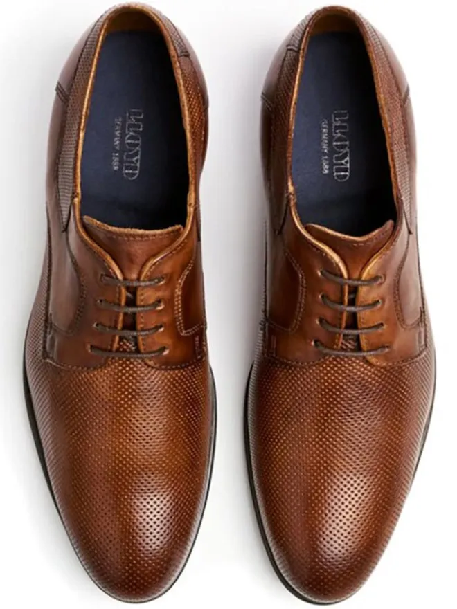 Leder-Schnürschuhe "Levin" in Hellbraun>LLOYD Hot