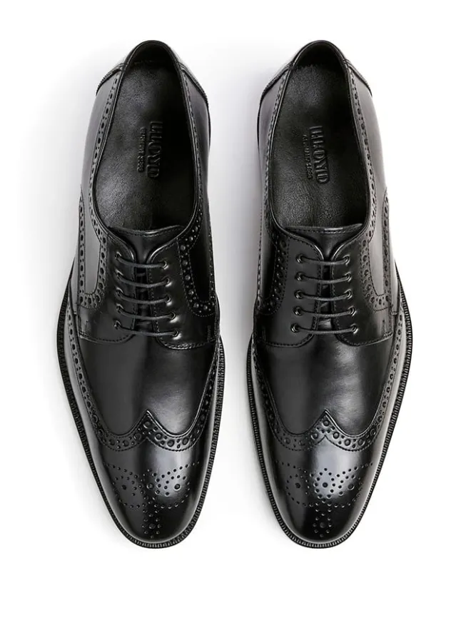 LLOYD Schnürschuhe^Leder-Schnürschuhe "Lucien" in Schwarz