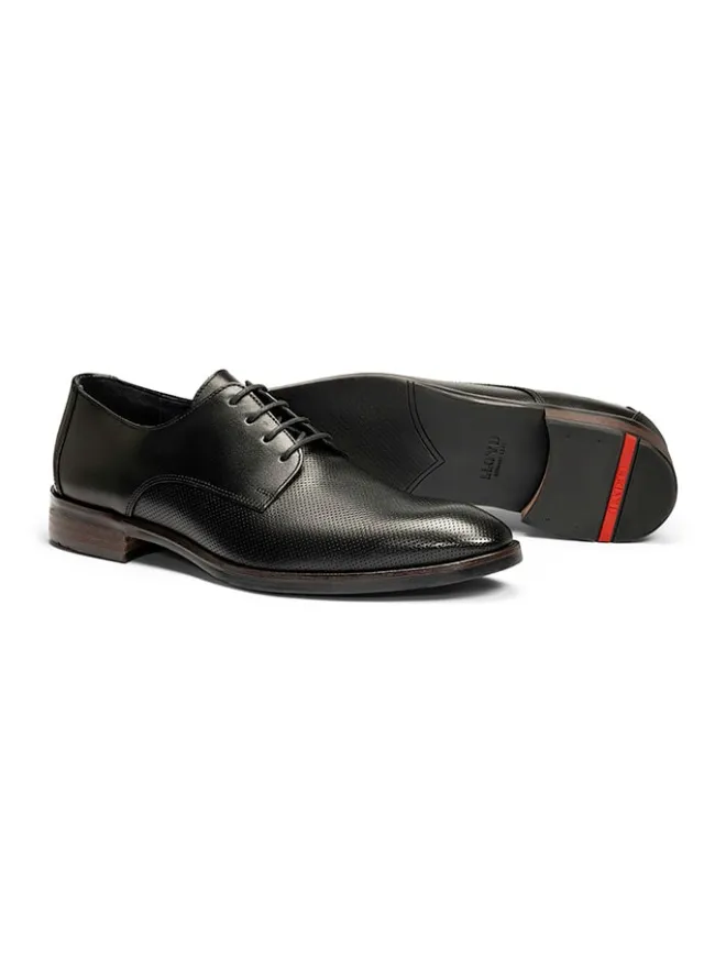 Leder-Schnürschuhe "Ohio" in Schwarz>LLOYD Outlet