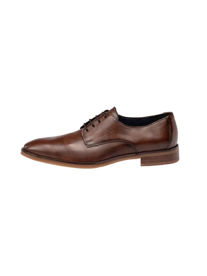 Leder-Schnürschuhe "Olot" in Braun>LLOYD Best