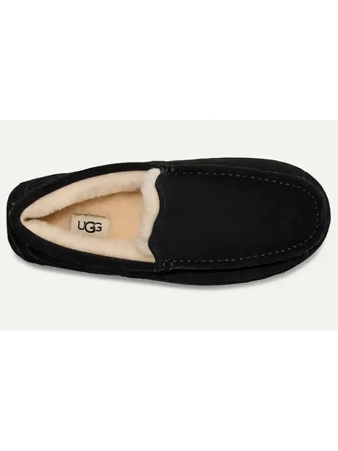 UGG Halbschuhe^Leder-Slipper "Ascot" in Schwarz