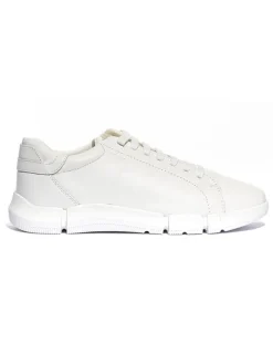 Geox Sportschuhe^Leder-Sneakers "Adacter" in Weiß