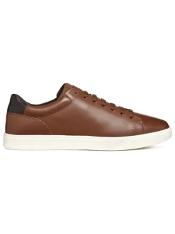 Leder-Sneakers "Avola" in Braun>Geox Discount
