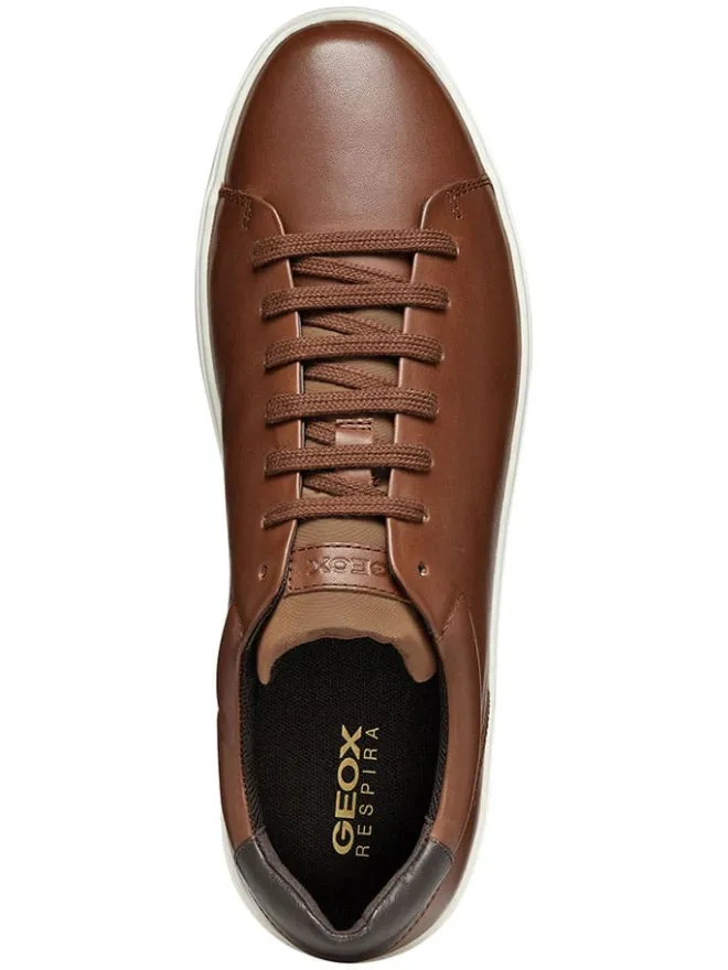 Leder-Sneakers "Avola" in Braun>Geox Discount