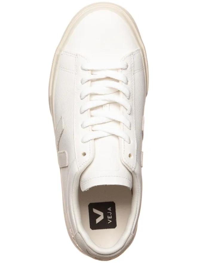Veja Sneakers^Leder-Sneakers "Campo" in Weiß/ Creme