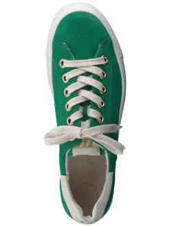 Leder-Sneakers in Grün><noscript><img width=