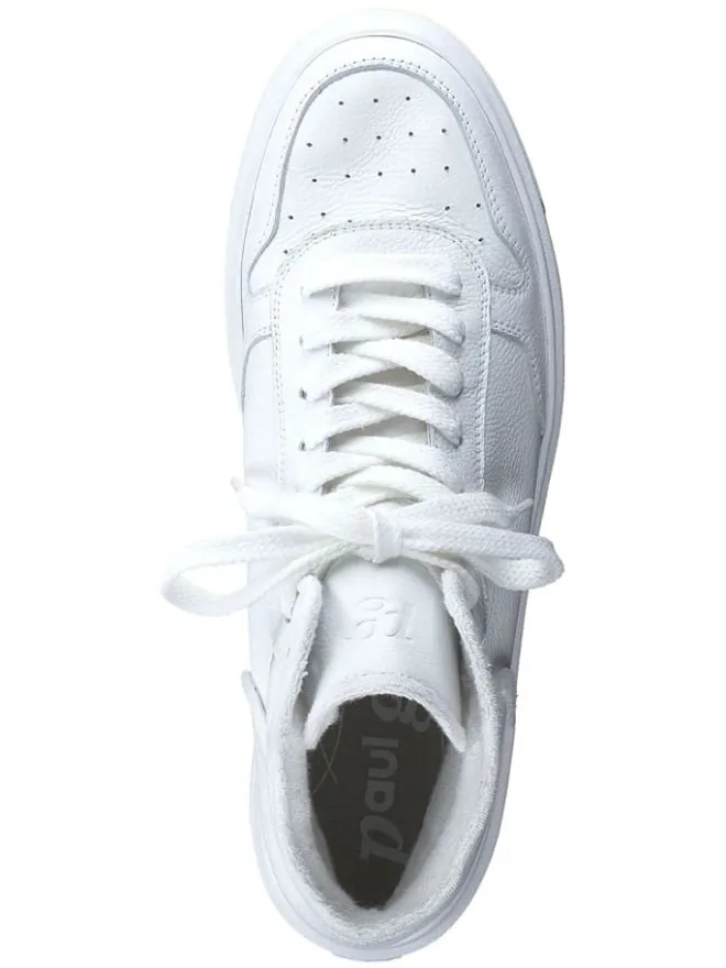Leder-Sneakers in Weiß>Paul Green
