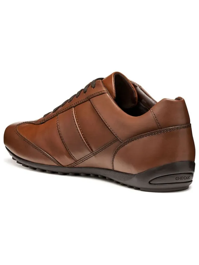 Leder-Sneakers "Wells" in Hellbraun>Geox Online