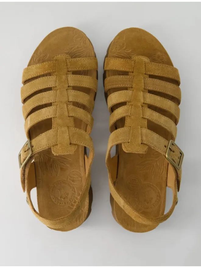 Sandalen in Braun>PANAMA JACK Discount
