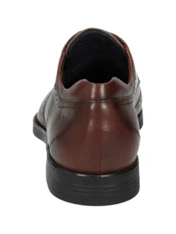 Schnürschuh Forkan-XL in braun><noscript><img width=