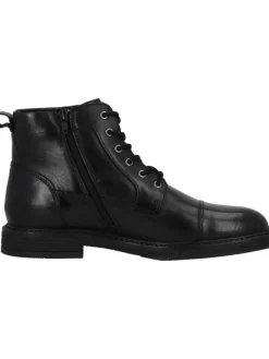 palado Stiefel & Boots^Schnürstiefel in BLACK