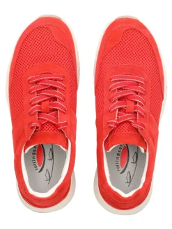 rollingsoft Sneakers^Sneaker in Chili