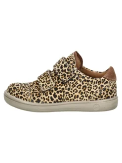 Sneaker in Mehrfarbig>PEPINO Best