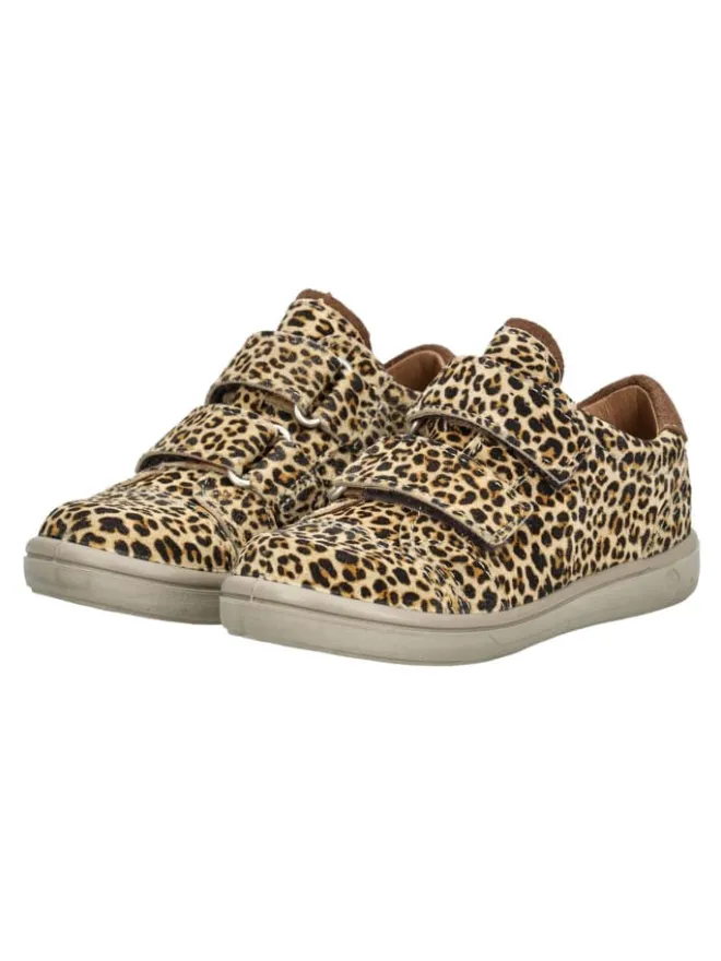 Sneaker in Mehrfarbig>PEPINO Best