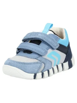 Sneaker in Sky>Geox