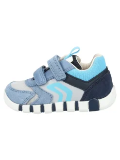 Sneaker in Sky>Geox