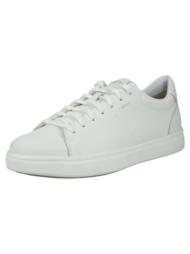 Sneaker in Weiß>Geox Online